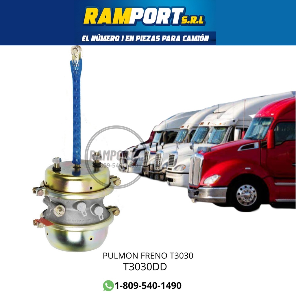 PURMON FRENO T3030 *