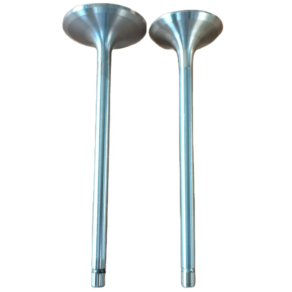 VALVULA ESCAPE RENAULT 203 *4