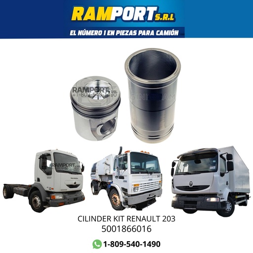 [5001866016] CYLINDER KIT RENAULT 203  *