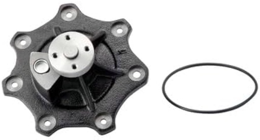 [481805] BOMBA AGUA DT466/DT466E/DT530/DT530E *