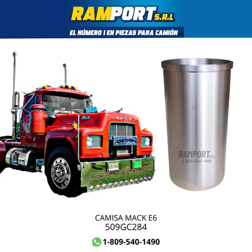 [509GC284] CAMISA MACK E6 *